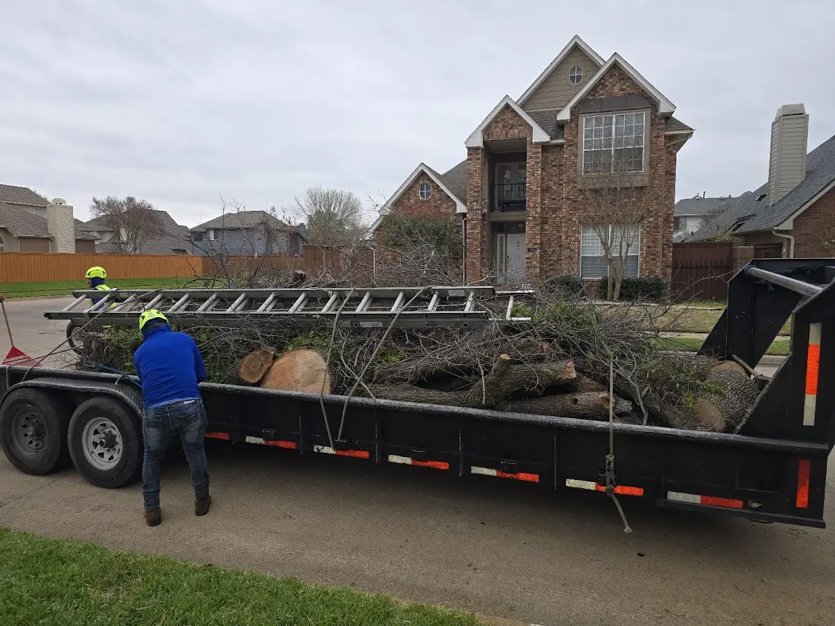Expert Lot Clearing with proper safety equipment in Mcdonald